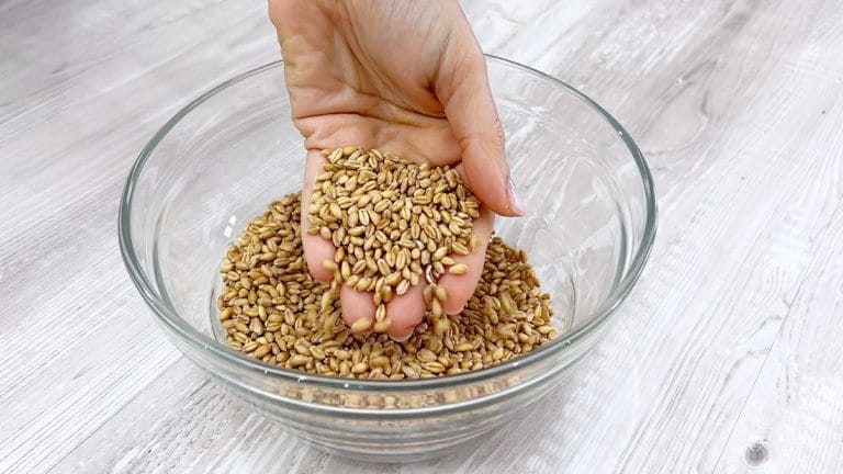 come cuocere il grano per la cuccìa