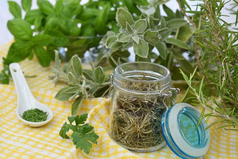 come essiccare le erbe aromatiche