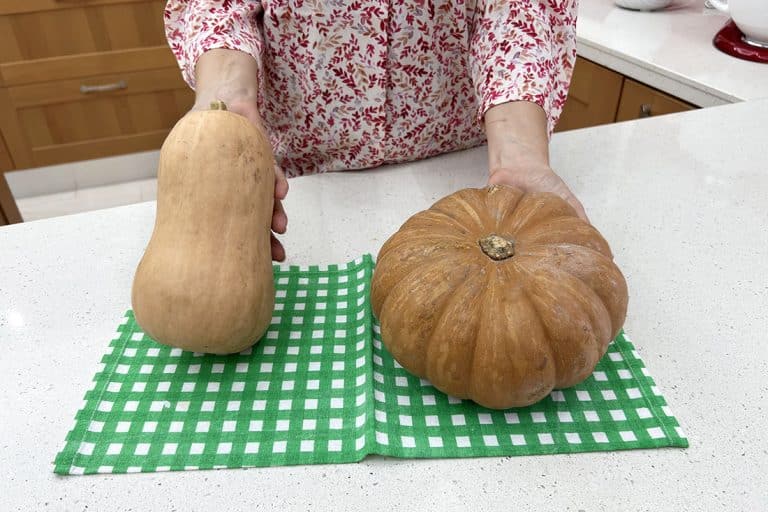 tipi di zucca