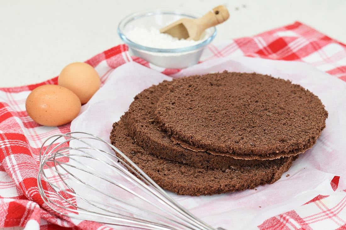 pan di Spagna al cacao