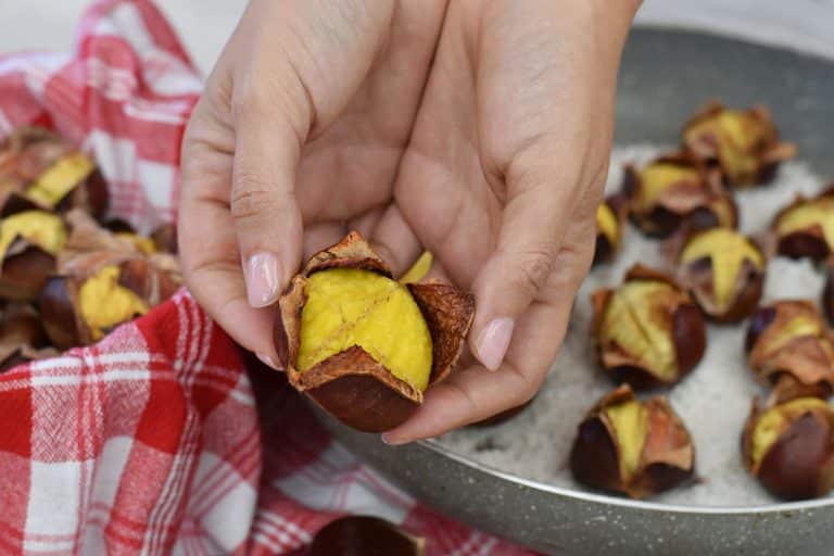 Castagne al sale