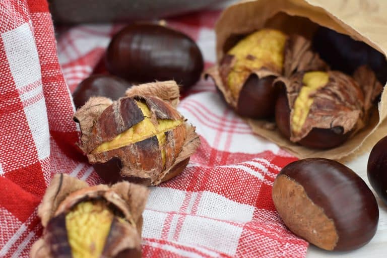 Castagne in friggitrice ad aria